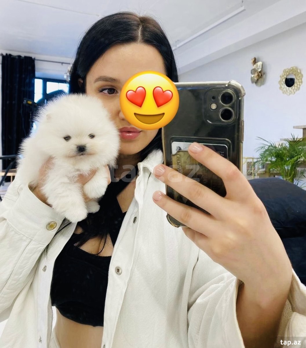 40139_9T2YvnmXSWThV9Q6U5Wo3Q