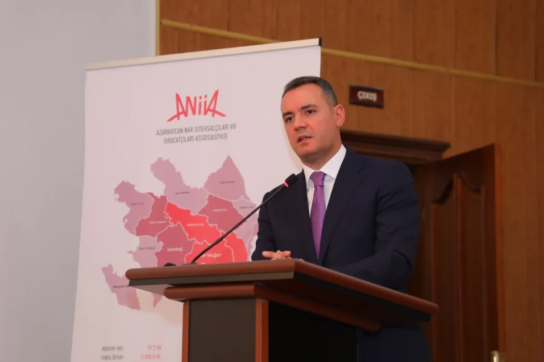 Сбор урожая граната в Азербайджане
